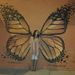Profile Picture of Sue Osburn (@osburn_sue) on Pinterest