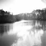 Profile Picture of Thomas Angier (@thomasangier) on Instagram