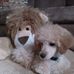 Profile Picture of Shelly Shultz (@shelly.shultz.731) on Facebook