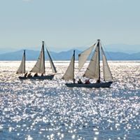 Profile Picture of Rosa Mclaughlin (@rosa-mclaughlin-1) on Quora