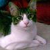 Profile Picture of Kandi Hanson (@kandi.hanson.3) on Facebook