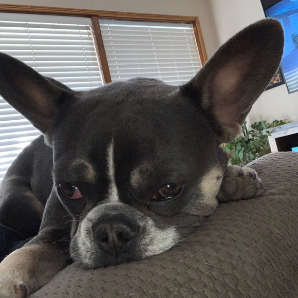 Profile Picture of Jason Aguilera (@jasonmag27) on Poshmark