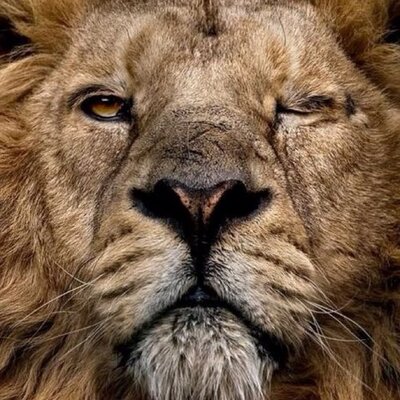 Profile Picture of Joshua Phelps (@jphelpsthe3rd) on Twitter