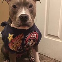 Profile Picture of Jake Knight (@jake-knight-38) on Quora