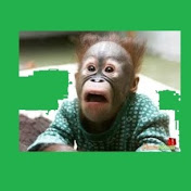 Profile Picture of Alex Prodan (@alexprodan1410) on Youtube