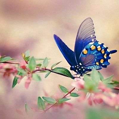 Profile Picture of Rince Chacko (@RichLiz09) on Twitter