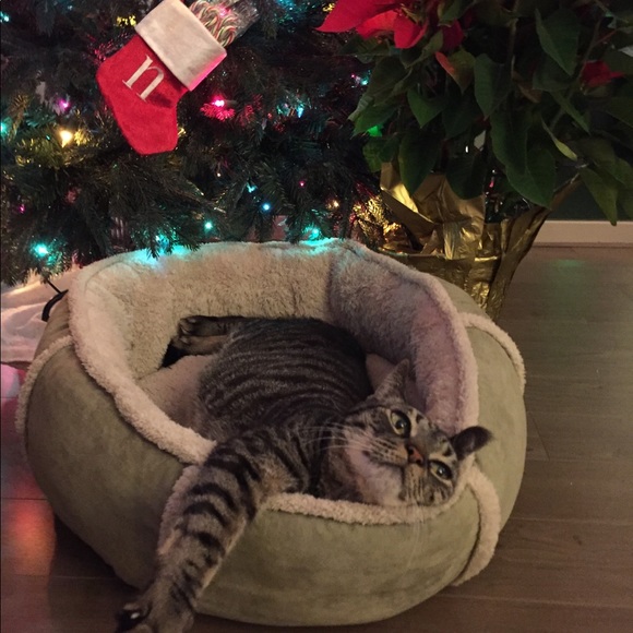 Profile Picture of Kay Limoli (@limolik) on Poshmark