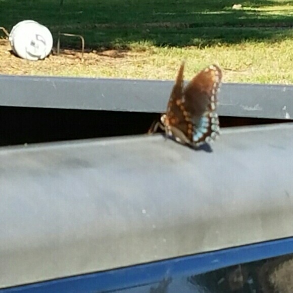 Profile Picture of Cathy Allen (@tornado3) on Poshmark