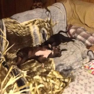 Profile Picture of Ray Pridemore (@ray.pridemore.9) on Facebook
