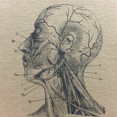 Profile Picture of Edward Kim (@EdwardKimBT) on Twitter