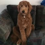 Profile Picture of Sharron Morse (@sharron.morse.50) on Facebook