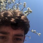 Profile Picture of chris.wyattt (@chris.wyattt) on Instagram