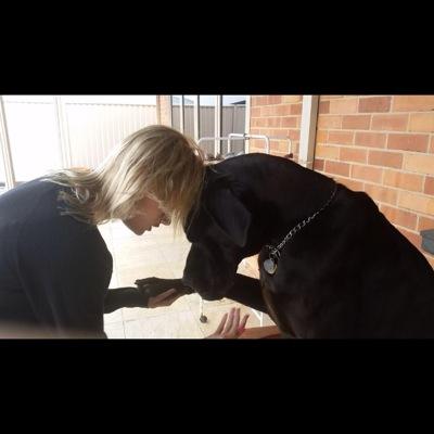 Profile Picture of Monty Barber (@BarberMonty) on Twitter