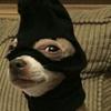 Profile Picture of Derek Castillo (@@derek1106..7u) on Tiktok