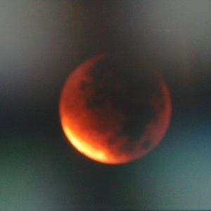 Profile Picture of Nelson Figueredo (@nelsonstein9) on Twitter