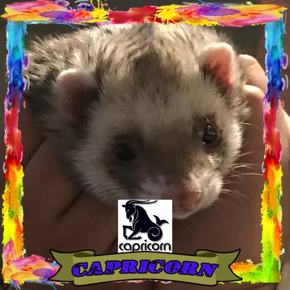 Profile Picture of Joy Dozier (@jdozier27) on Poshmark