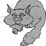 Profile Picture of Joanne Trzcinski (@trzcinskijoanne) on Instagram