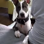 Profile Picture of Matthew Moultrie (@matthew.moultrie.585) on Facebook