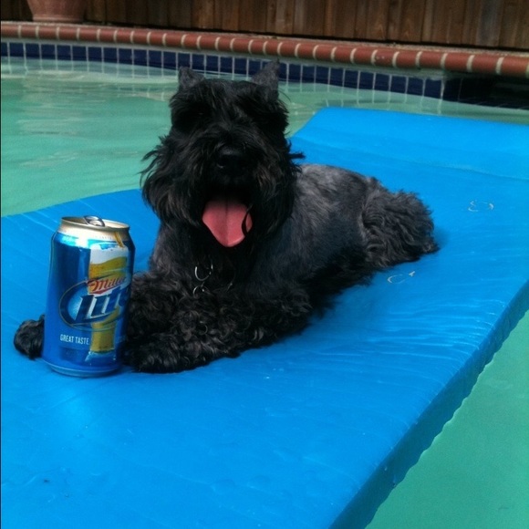 Profile Picture of Chad Guckert (@cguck) on Poshmark