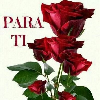 Profile Picture of Fernando Soza (@fernando122549) on Twitter