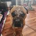 Profile Picture of Kelly Plante (@kelly.plante.77) on Facebook