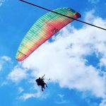 Profile Picture of Inge Rüdiger (@ingeruediger) on Instagram