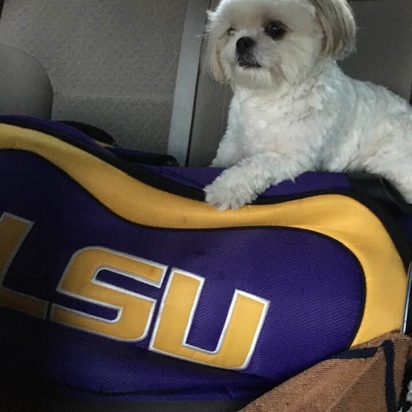 Profile Picture of Jerry Clark (@jerryclark320) on Poshmark