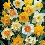 omid - Instagram Profile Picture of omid (@o.honery58) on Instagram