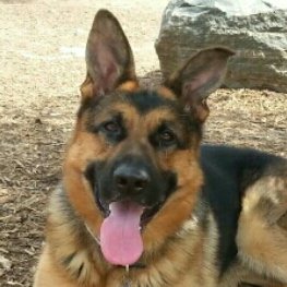 Profile Picture of ED BLANTON (@edblantonx) on Twitter