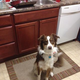 Profile Picture of Blaze Pengilly (@blaze.pengilly) on Facebook