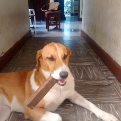 Profile Picture of Tom  Morrison (@tommorr25706917) on Twitter