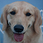 Profile Picture of Bianca Fernandes (@bianca fernandes) on Flickr