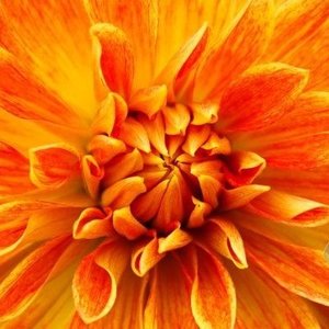 Profile Picture of Sr (@ms.stacey) on Myspace