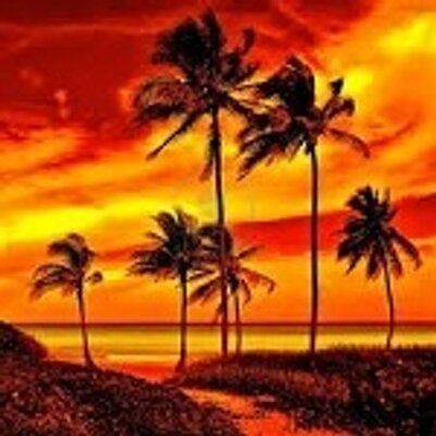 Profile Picture of Aaron Darcy (@AARDarcy) on Twitter