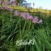 Profile Picture of Pam Shaver (@pam.shaver.716) on Facebook