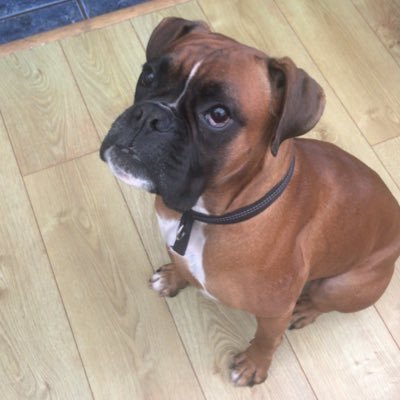 Profile Picture of Vicky Brown  💙 (@Vickybr32546672) on Twitter