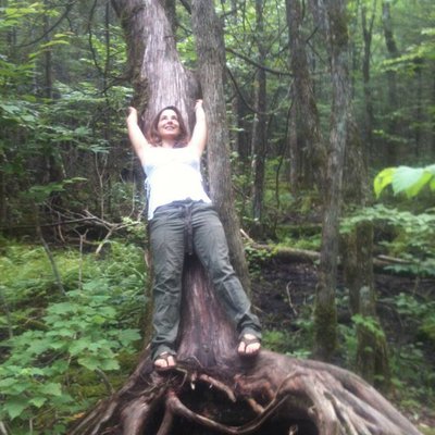 Profile Picture of Amanda Reposa (@Areposa) on Twitter