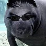 Profile Picture of Brett Keane (@godmanatvradio) on Instagram