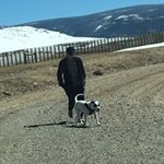 Profile Picture of Adrian (@adrian_cipri) on Instagram