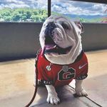 Profile Picture of Brian Burnette (@bee_ryan74) on Instagram