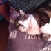 Profile Picture of Edith Heusch (@edith.heusch.1) on Facebook