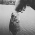Profile Picture of Hunter Ivey (@hunter.ivey.9484) on Facebook