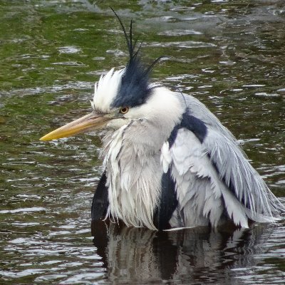 Profile Picture of David McNee (@DavidMcNee3) on Twitter