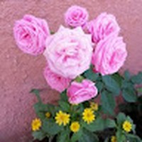 Profile Picture of Zoe Arroyo (@zoe-arroyo-2) on Quora