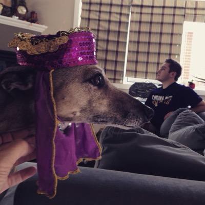 Profile Picture of Wes Wicks (@Wes61wicks) on Twitter