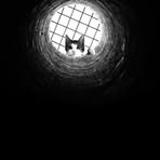 Profile Picture of Jason Razler (@Jason-Razler) on Facebook