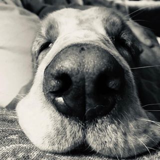 Profile Picture of Gary Kinkley (@gary.kinkley) on Facebook