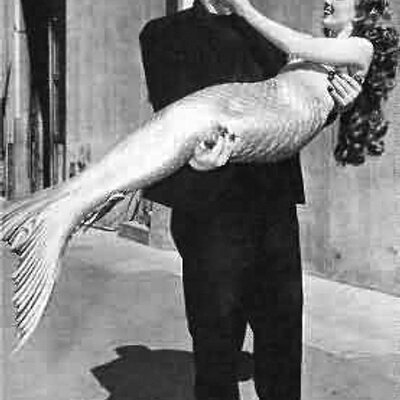 Profile Picture of Ian & Moe Spong (@IanAndMorgan) on Twitter