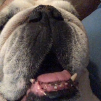 Profile Picture of Kyle Pryor (@kylepryor1) on Twitter