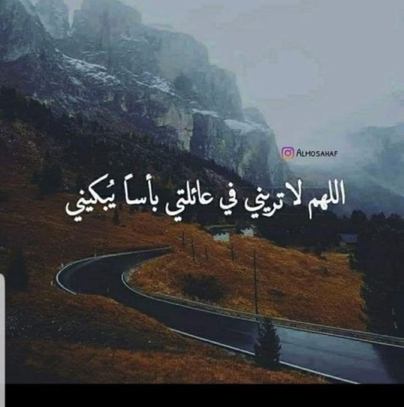 Profile Picture of Dalal Moukdad (@dmoukdad) on Poshmark